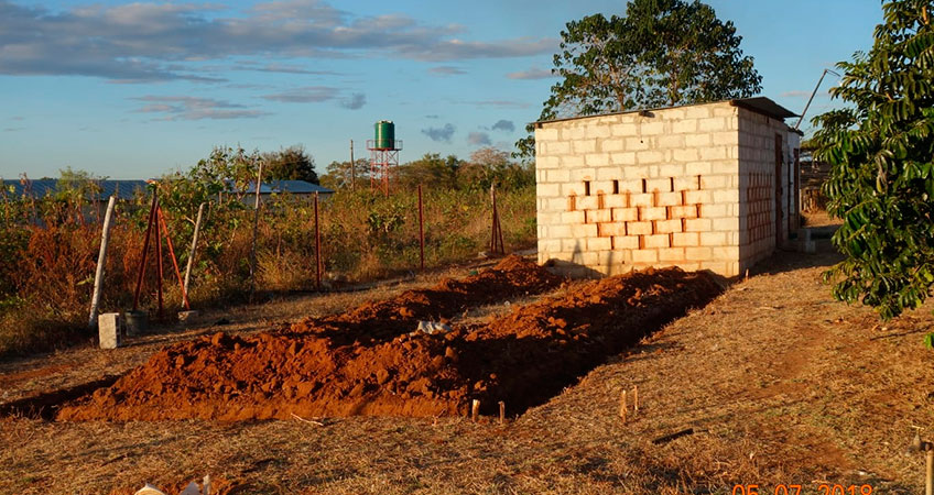 Construimos el gallinero a City of Joy