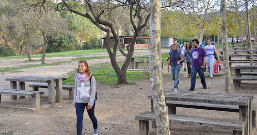 Curs14-15_costellada_CAS